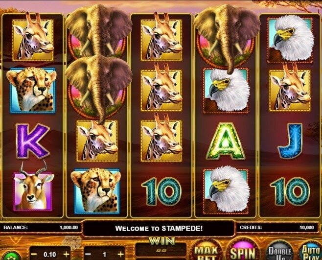 Stampede Slot Review | Free Spins | Betsoft Games